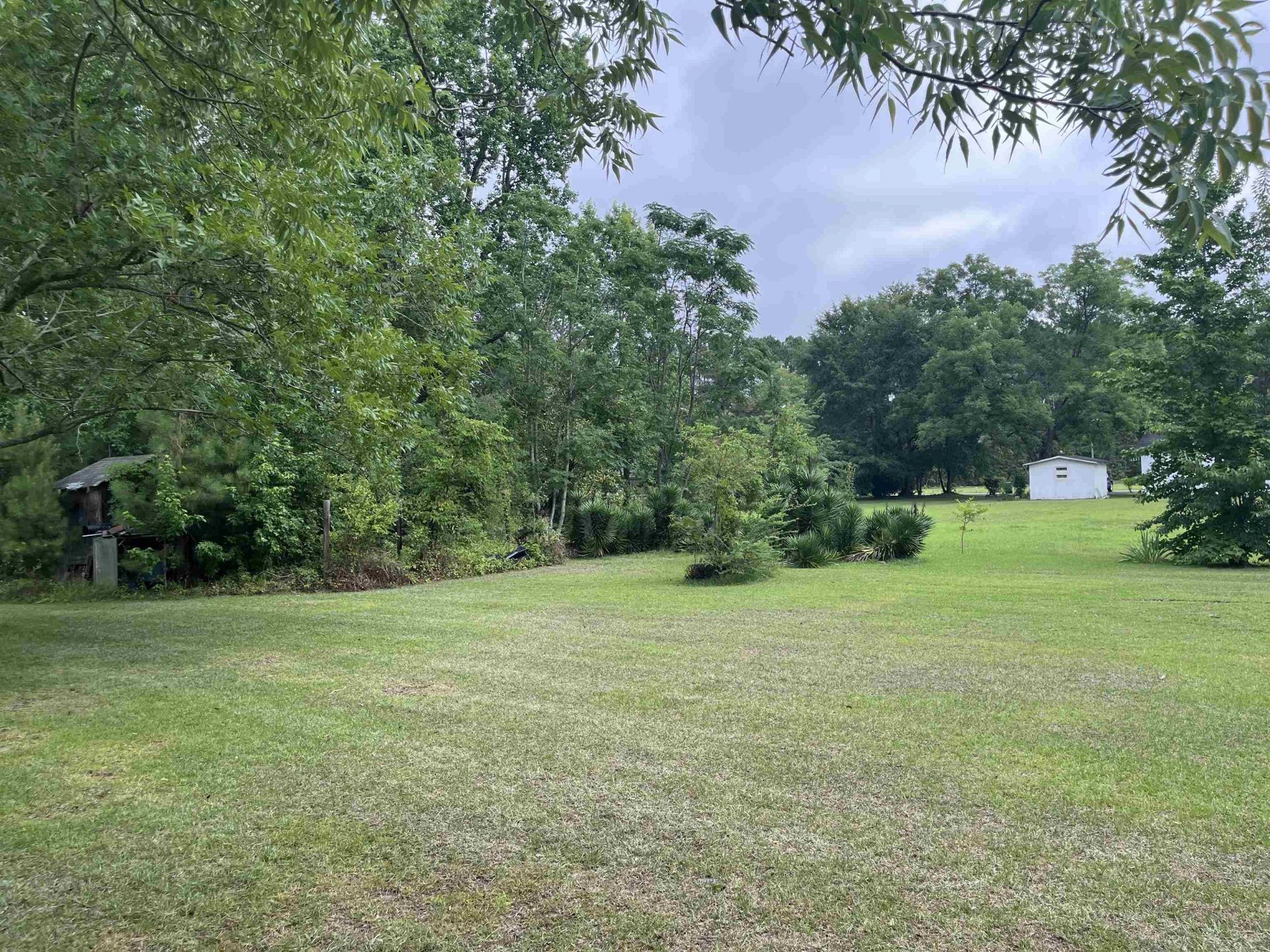 908 Martin Luther King Dr.  Photo 20
