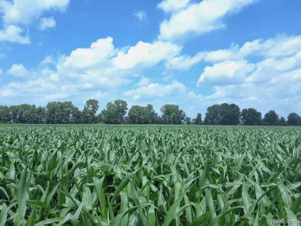 AUCTION Lot #3 10 acres Dryden Road , Berlin Twp, MI 48041