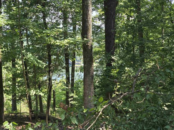 Lot 231 & 232 Medinah, Hot Springs, AR 71913