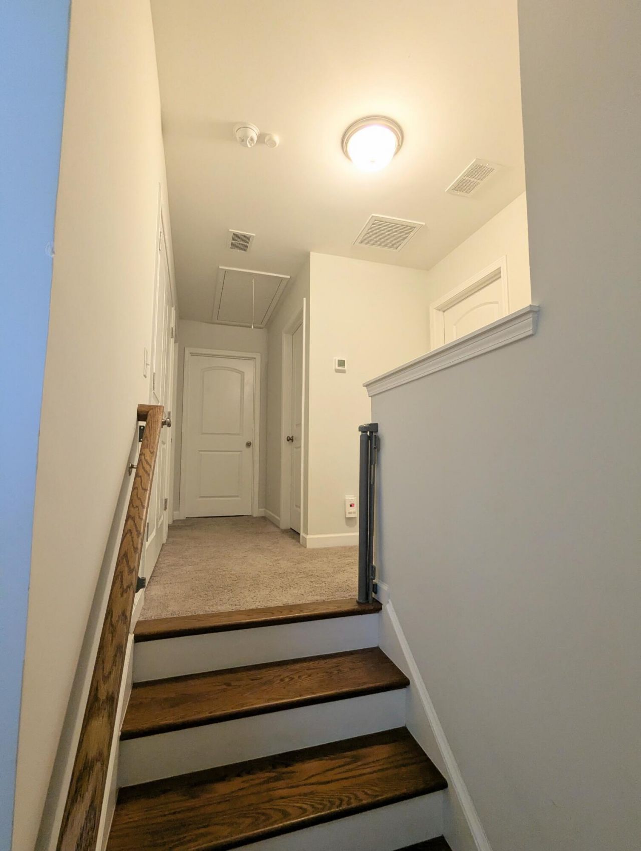 3135 Mulan Lane Photo 22