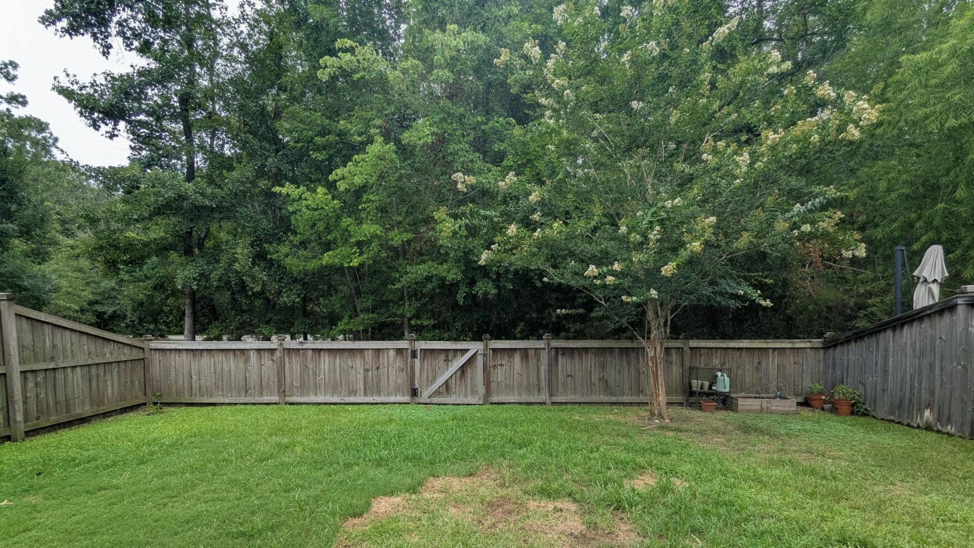 3135 Mulan Lane Photo 36