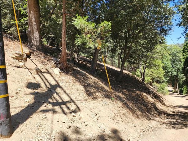 0 Burnt Mill Canyon Road, Cedarpines Park, CA 92322