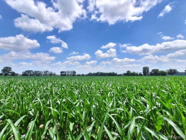Auction Lot# 4 10 acres Dryden Road , Berlin Twp, MI 48014