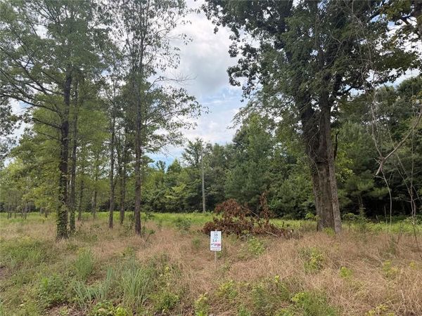 Lot 59 County Road 32 , Piedmont, AL 36272