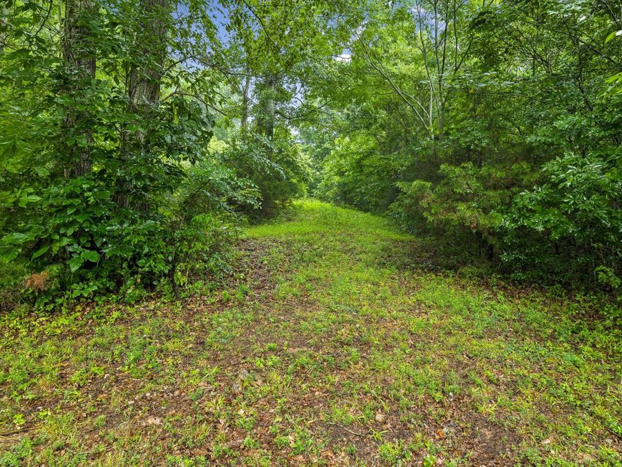 Property Image 37