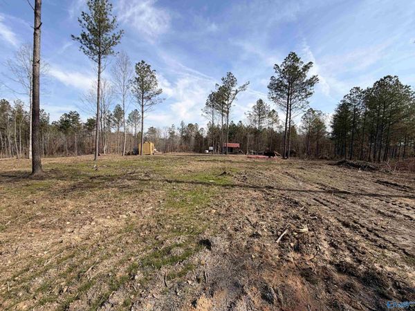 Lot 5 County Road 79, Danville, AL 35619