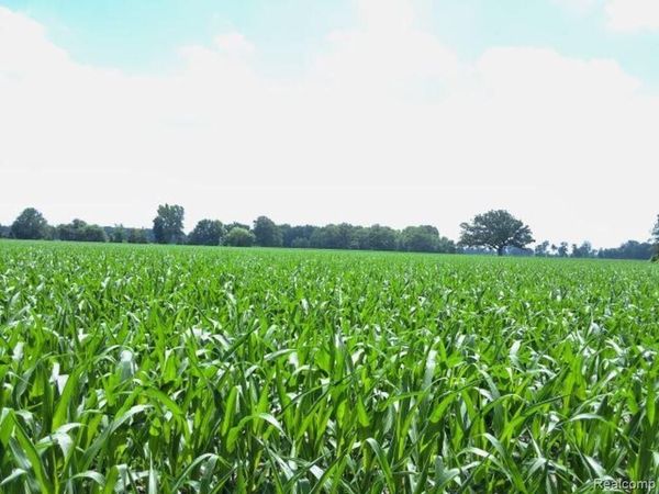 AUCTION Lot# 5 33 acres Capac Road , Berlin Twp, MI 48014
