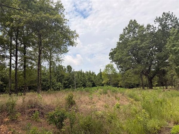 Lot 60 County Road 32 , Piedmont, AL 36272