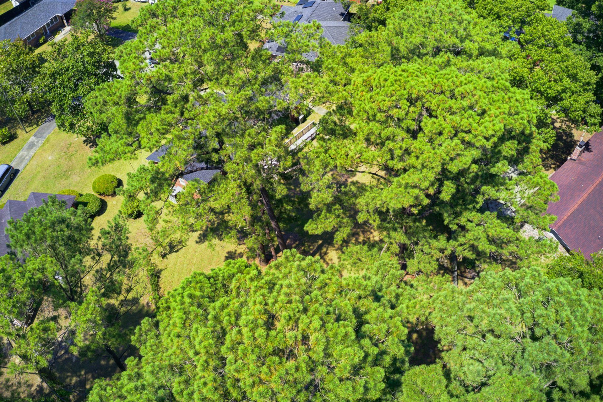 931 Dogwood Court Photo 41