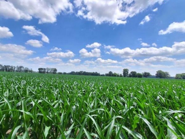 AUCTION Lot #6 10 acres Capac Road , Berlin Twp, MI 48014