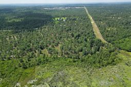 196 Hound Hollow Road  photo 4