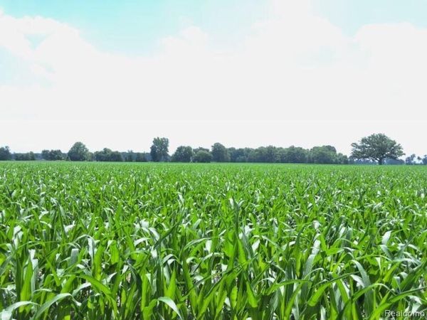 AUCTION Lot# 7 10 acres Capac Road , Berlin Twp, MI 48014