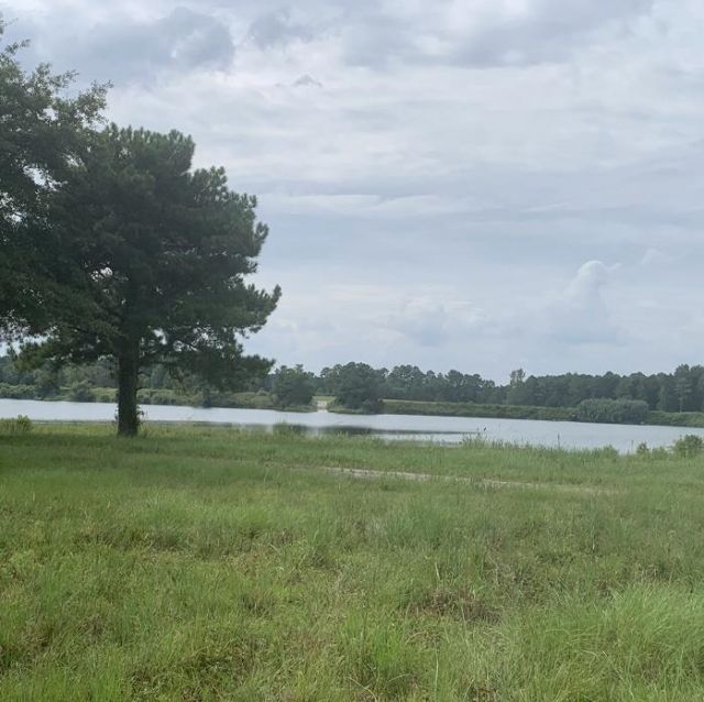 Tbd Old Sanders Dr. Photo 12