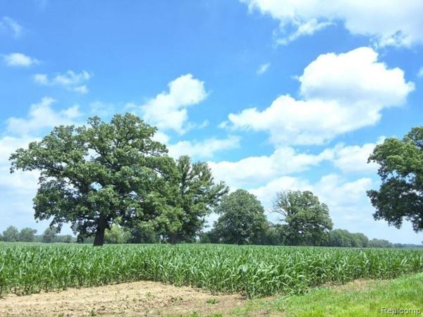 AUCTION Lot# 8 94 acres Capac Rd and Dryden Rd , Berlin Twp, MI 48014