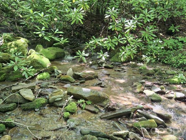 0 Dry Creek Road, Robbinsville, NC 28771