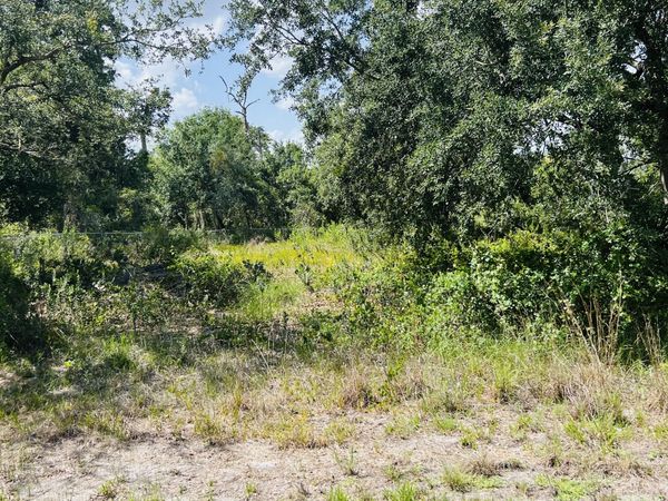 3155 MILLER Avenue, Lake Placid, FL 33852