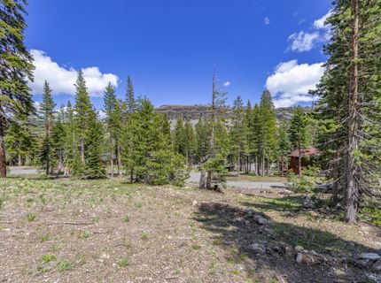 33795 Danburg Drive, Kirkwood, CA 95646 Photo