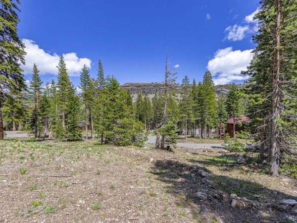 33795 Danburg Drive, Kirkwood, CA 95646