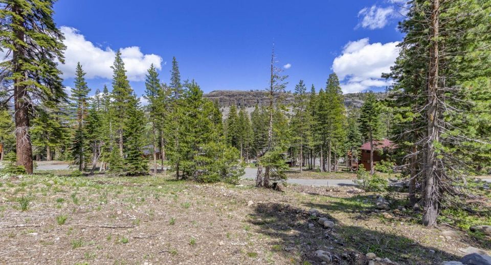 33795 Danburg Drive, Kirkwood, CA 95646 Photo