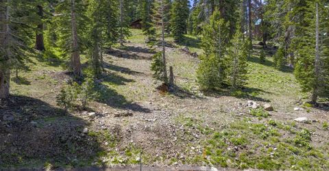 33795 Danburg Drive, Kirkwood, CA 95646 Photo