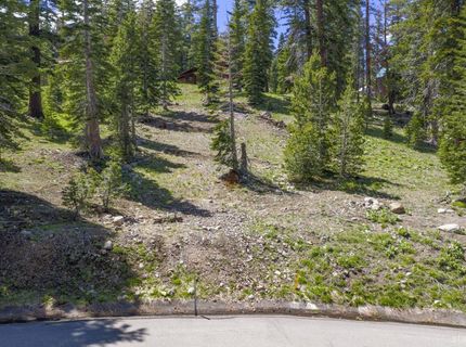 33795 Danburg Drive, Kirkwood, CA 95646 Photo
