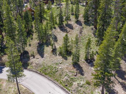 33795 Danburg Drive, Kirkwood, CA 95646 Photo