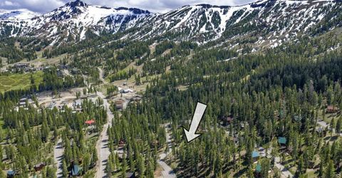 33795 Danburg Drive, Kirkwood, CA 95646 Photo