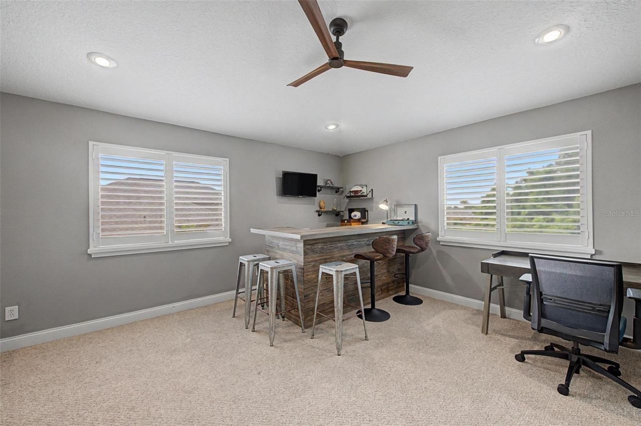 2141 Flameflower Court, Trinity, FL 34655 Photo
