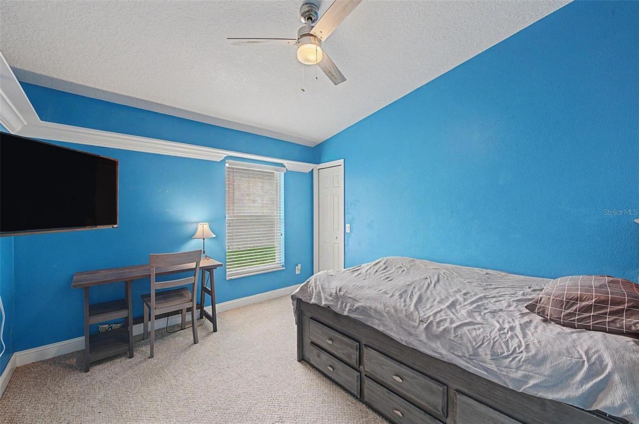 2141 Flameflower Court, Trinity, FL 34655 Photo