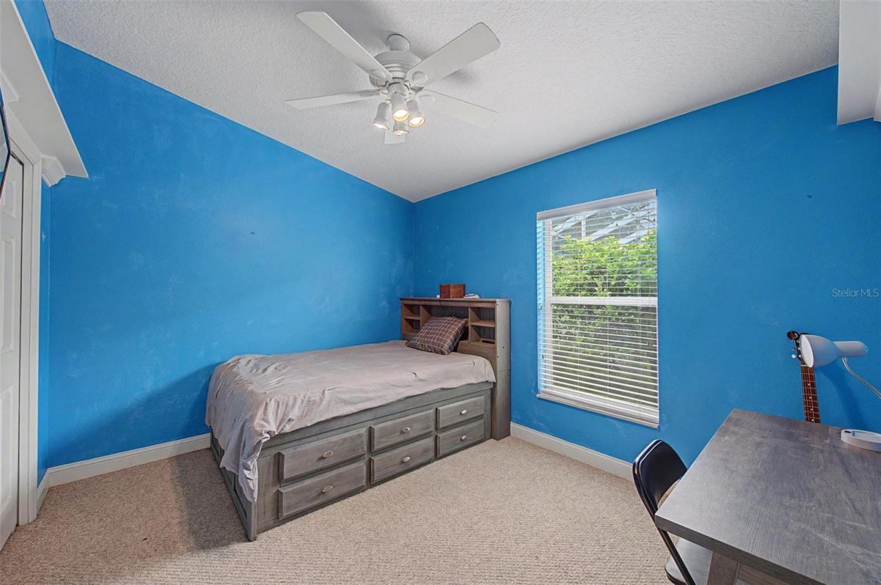 2141 Flameflower Court, Trinity, FL 34655 Photo