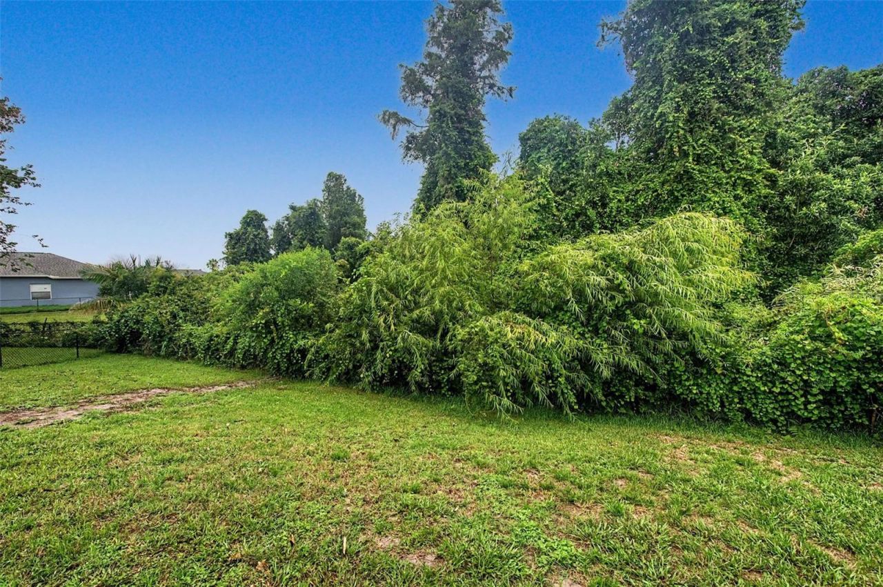 2141 Flameflower Court, Trinity, FL 34655 Photo