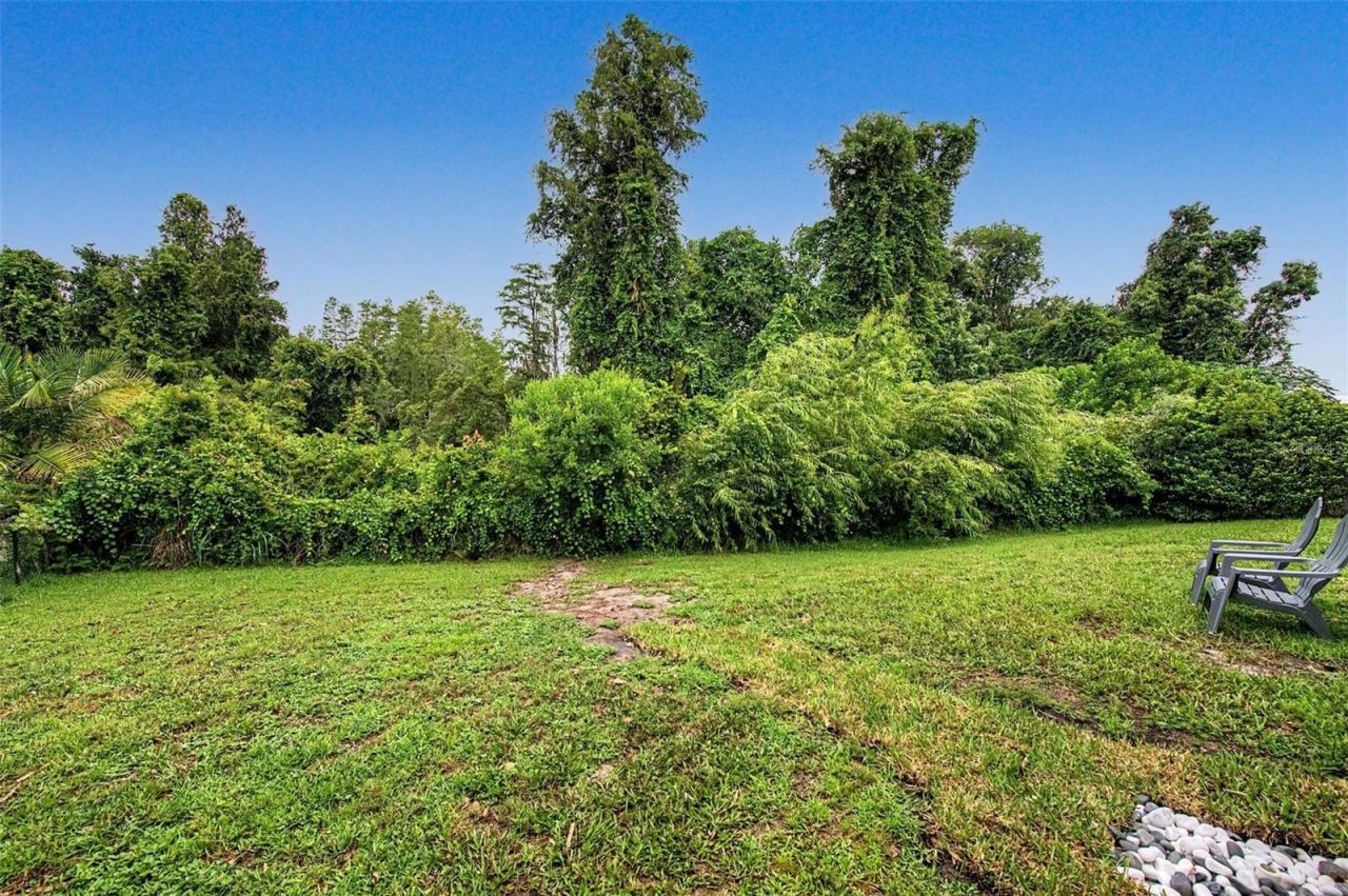 2141 Flameflower Court, Trinity, FL 34655 Photo