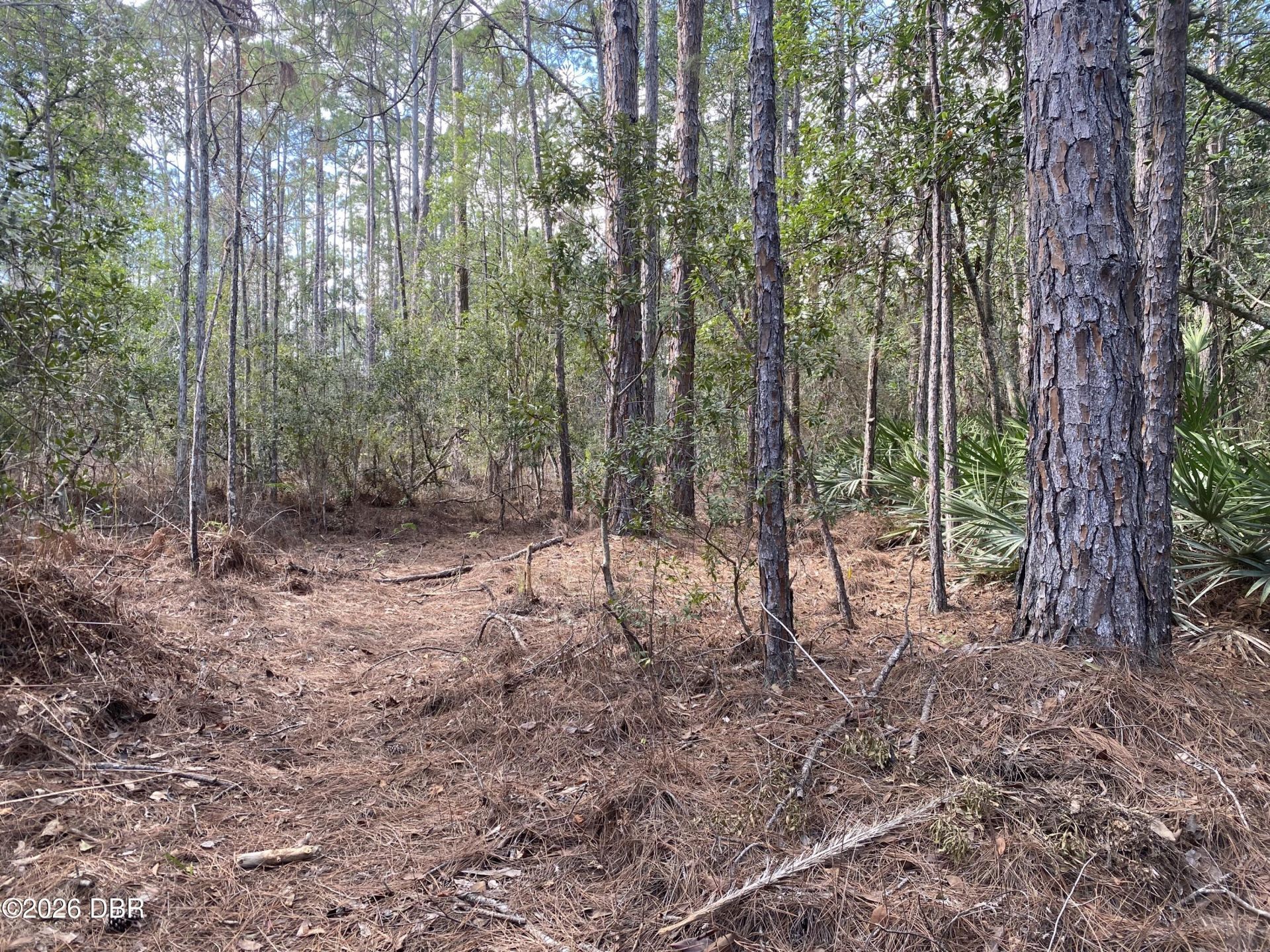 4205 Quail Ranch Road, New Smyrna Beach, FL 32168 Photo
