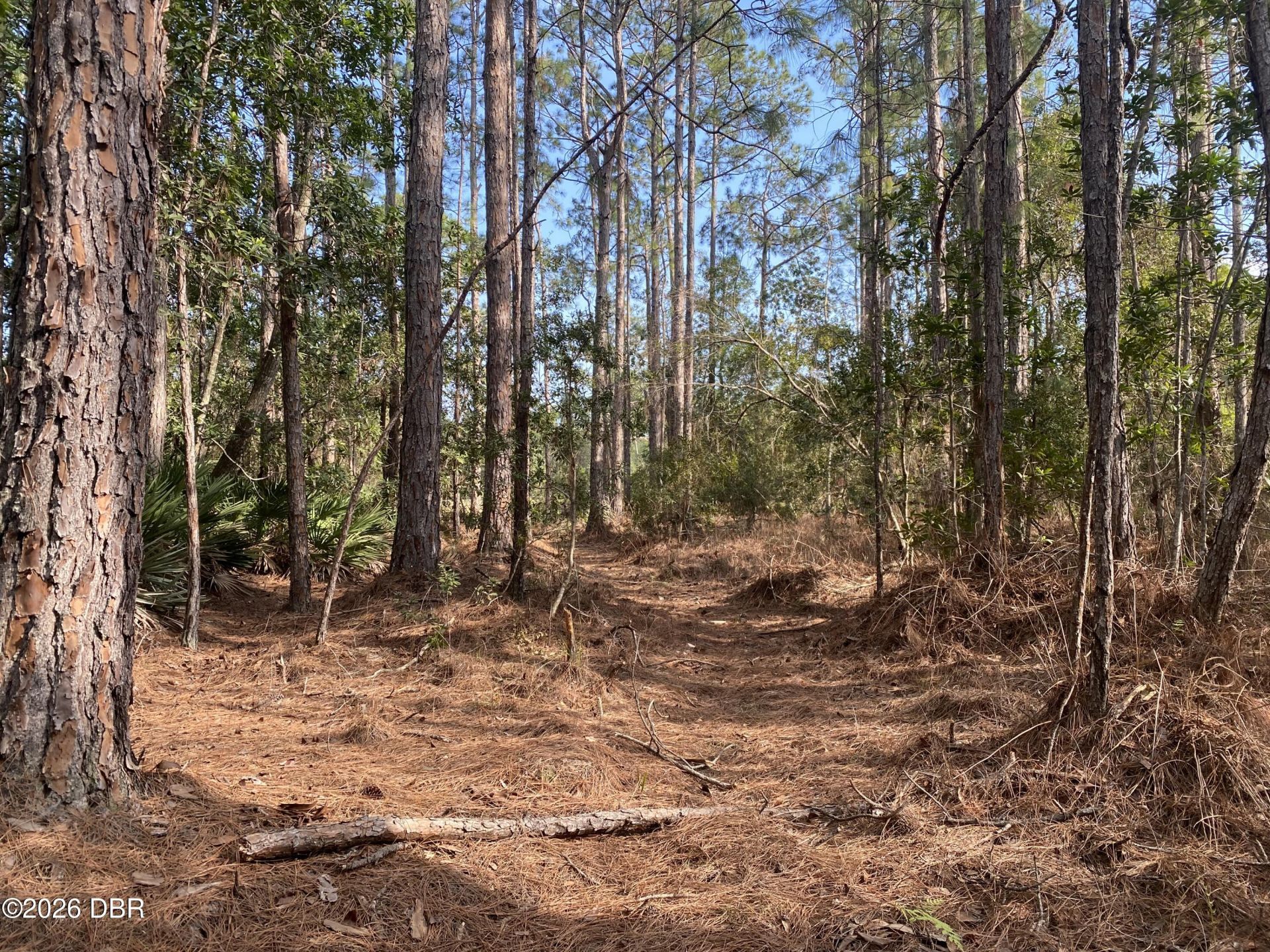 4205 Quail Ranch Road, New Smyrna Beach, FL 32168 Photo