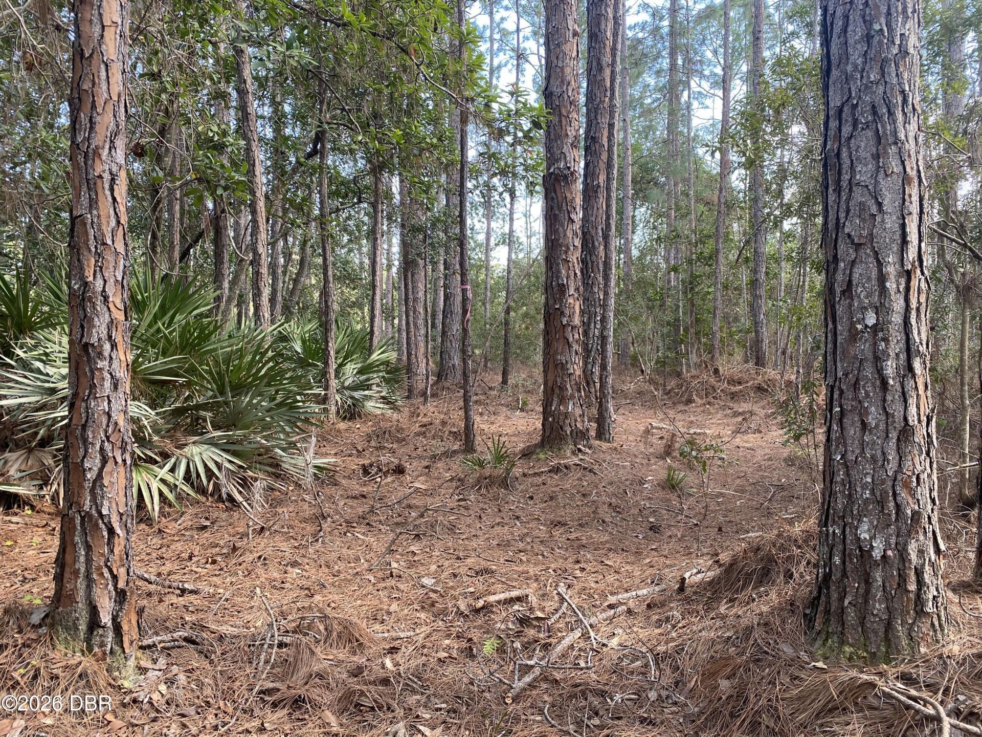 4205 Quail Ranch Road, New Smyrna Beach, FL 32168 Photo