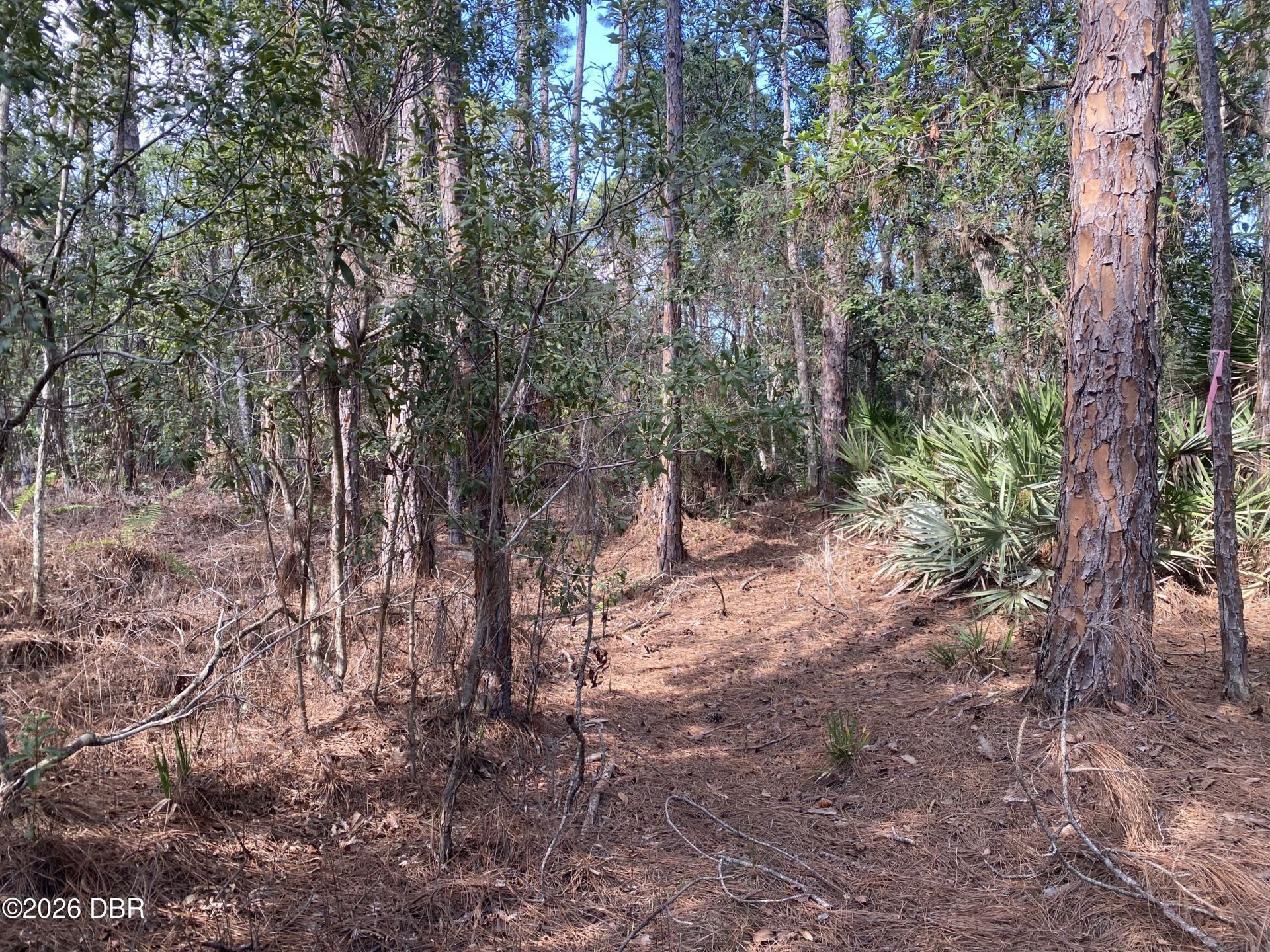 4205 Quail Ranch Road, New Smyrna Beach, FL 32168 Photo