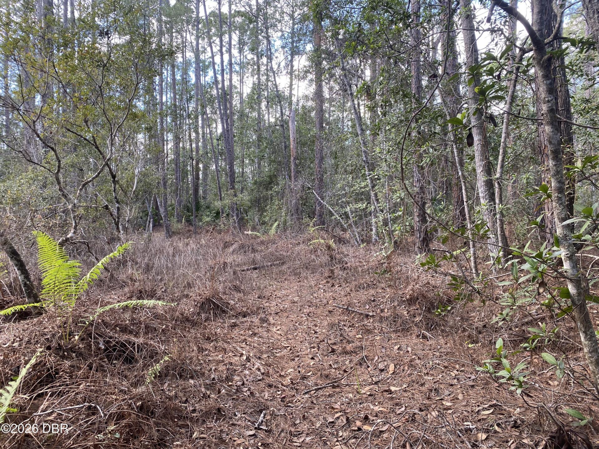 4205 Quail Ranch Road, New Smyrna Beach, FL 32168 Photo
