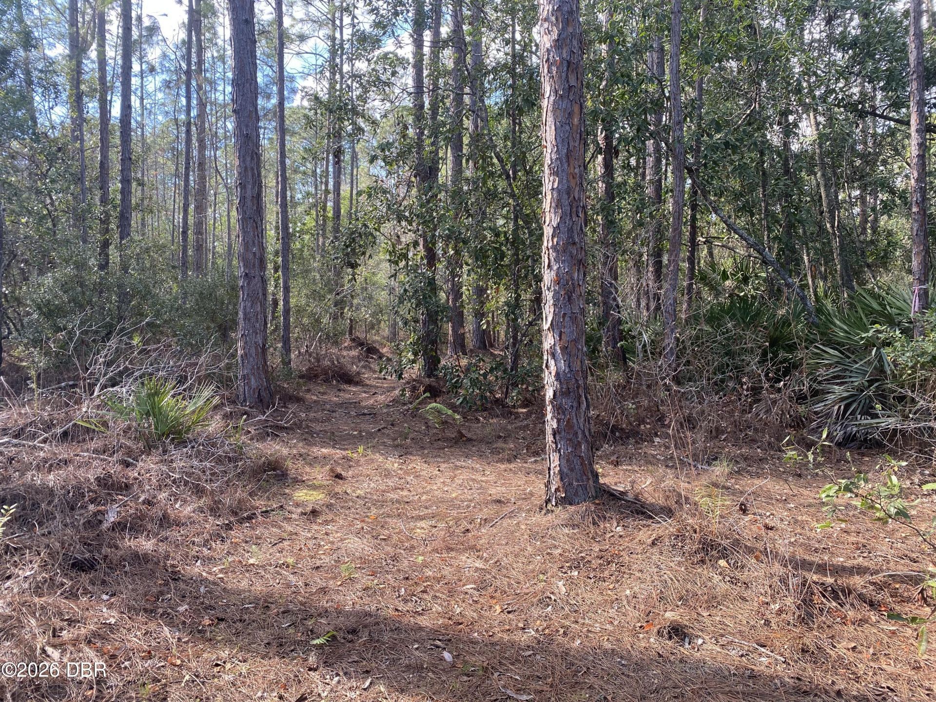 4205 Quail Ranch Road, New Smyrna Beach, FL 32168 Photo