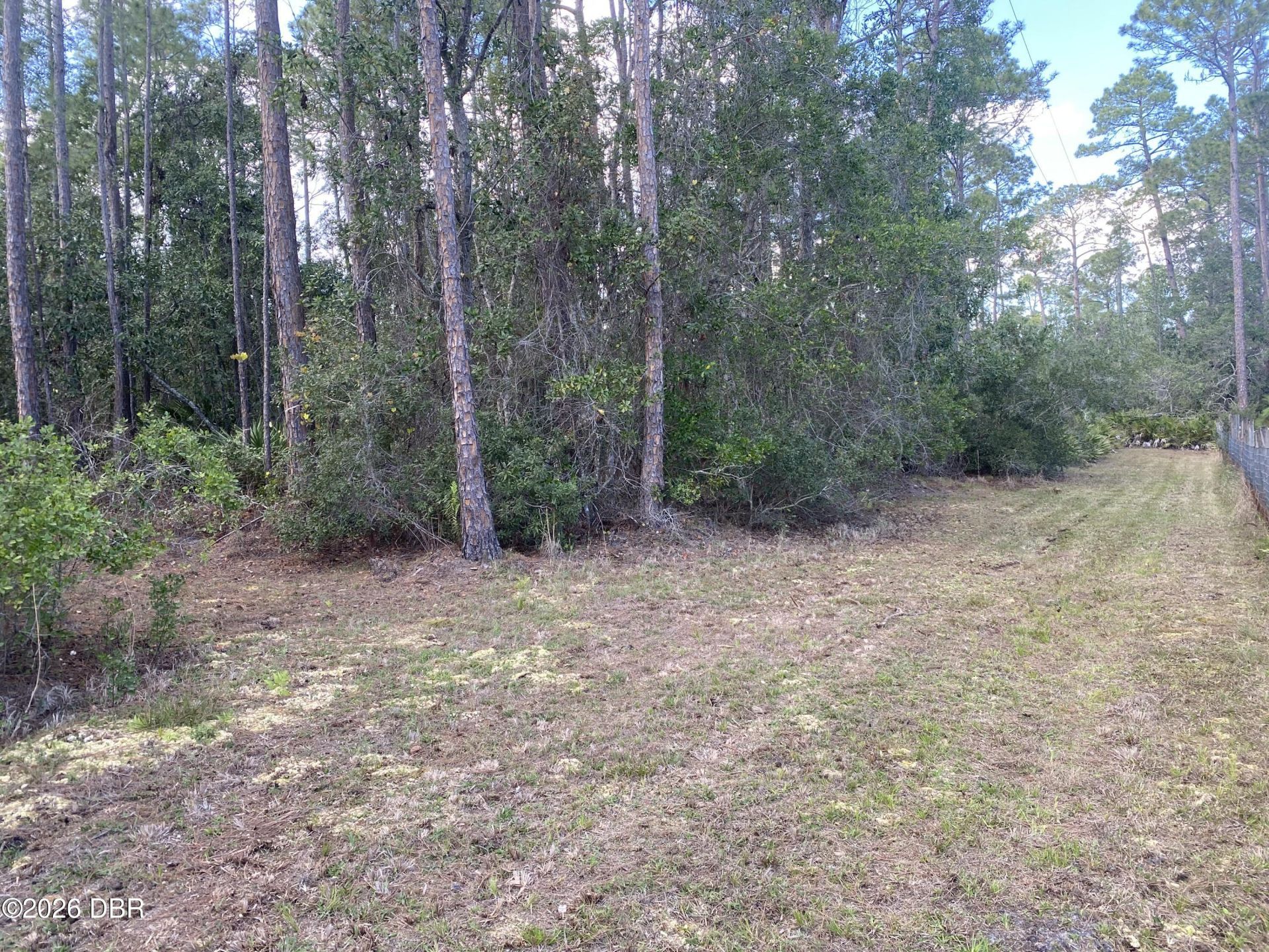 4205 Quail Ranch Road, New Smyrna Beach, FL 32168 Photo