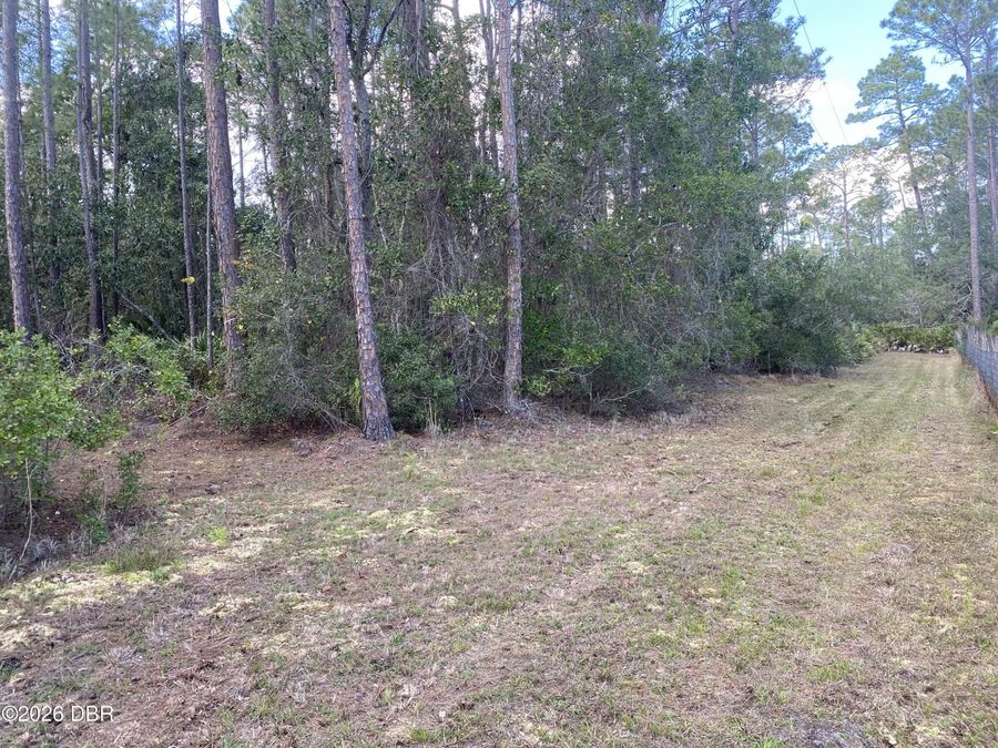 Property Image 51