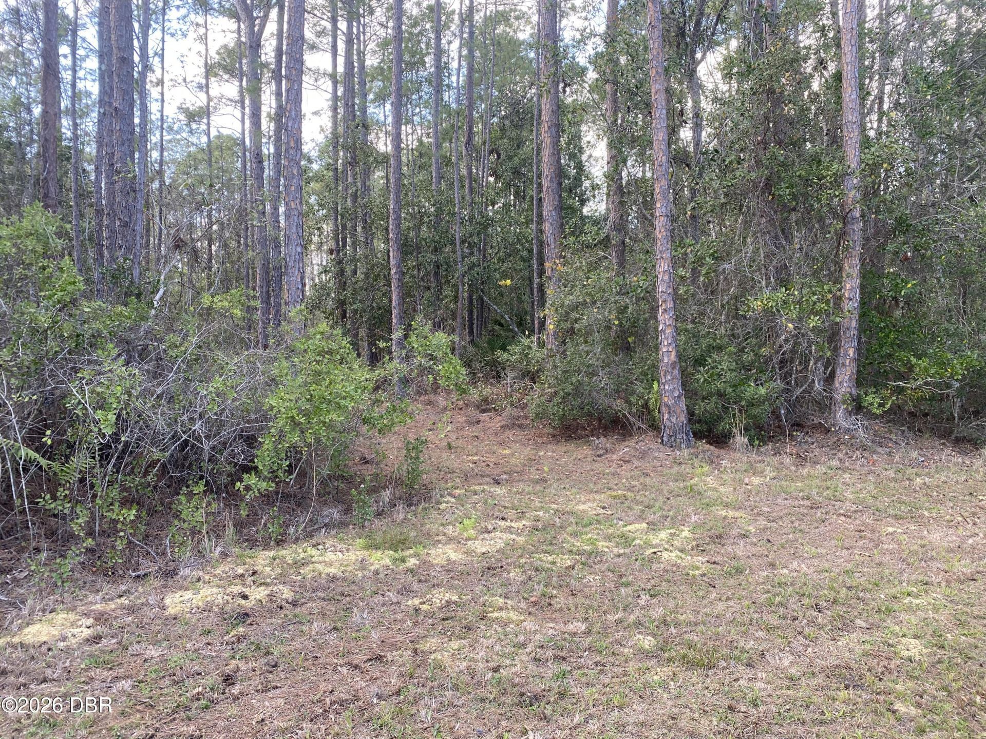 4205 Quail Ranch Road, New Smyrna Beach, FL 32168 Photo