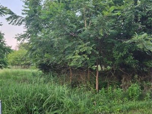 54 Oklahoma Drive, Linn Valley, KS 66040
