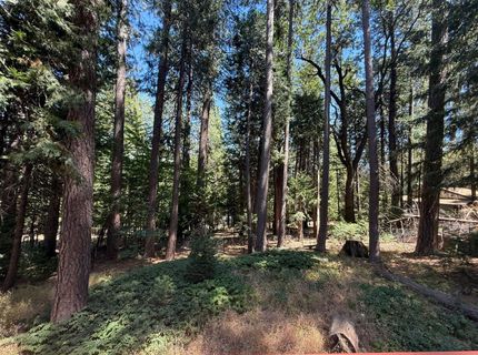 5256 Loch Leven Dr, Pollock Pines, CA 95726 Photo