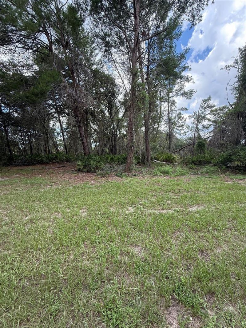 15625 Stable Run Drive, Spring Hill, FL 34610 Photo