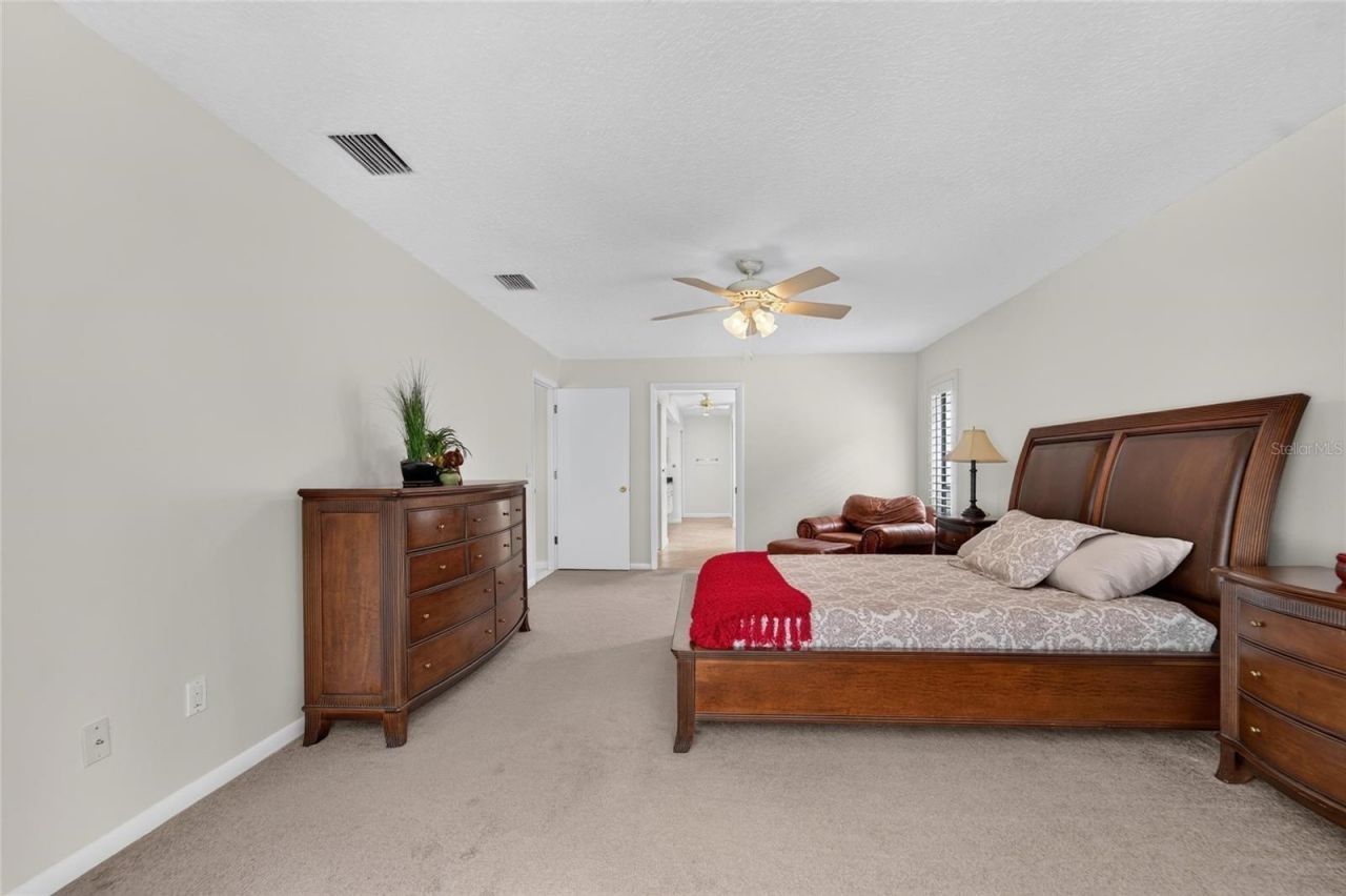 14015 Shady Shores Drive, Tampa, FL 33613 Photo