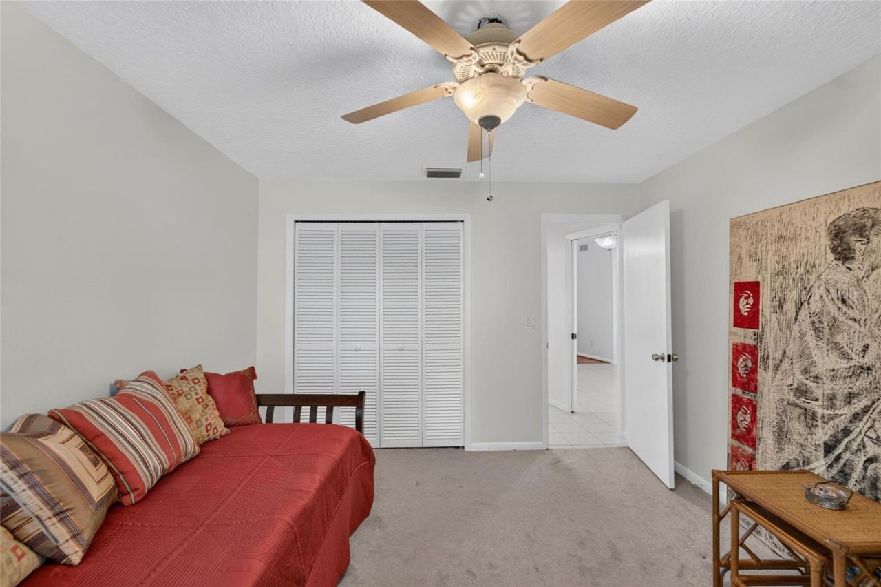 14015 Shady Shores Drive, Tampa, FL 33613 Photo