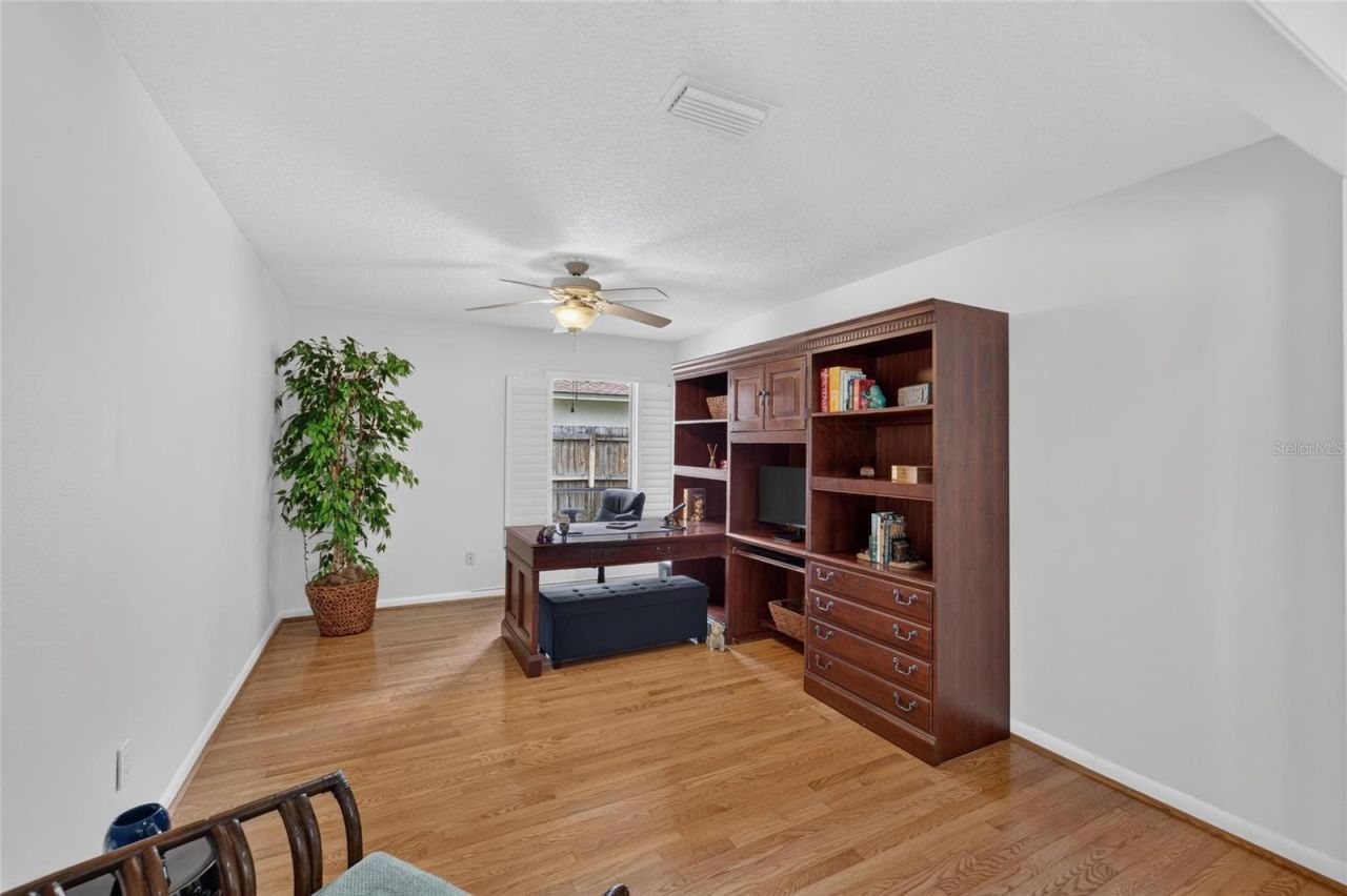14015 Shady Shores Drive, Tampa, FL 33613 Photo