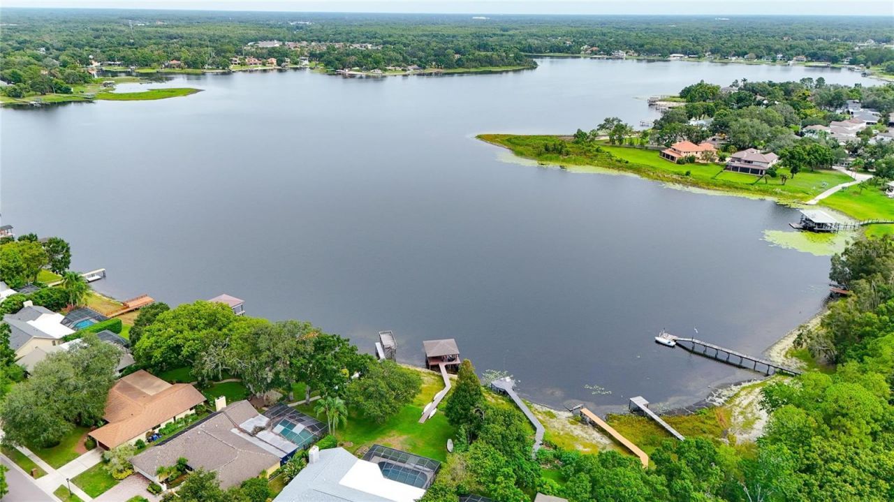 14015 Shady Shores Drive, Tampa, FL 33613 Photo