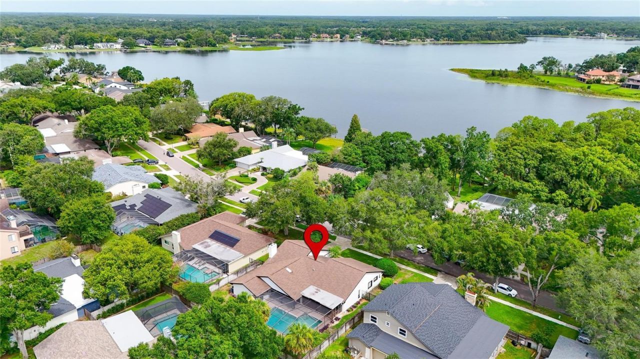 14015 Shady Shores Drive, Tampa, FL 33613 Photo