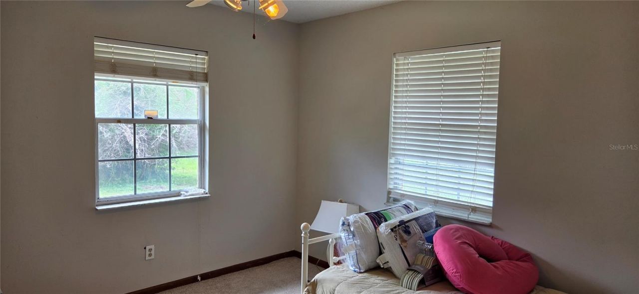 10901 Mcmullen Loop, Riverview, FL 33569 Photo